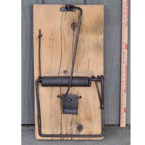 (Photo: Schwenke Auctioneers)