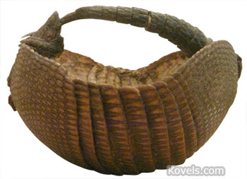 Armadillo Baskets: Are They Dangerous?