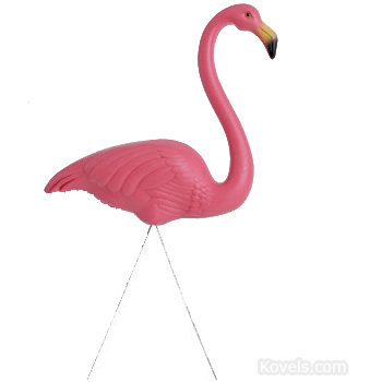 Pink Flamingoes Made Him Famous