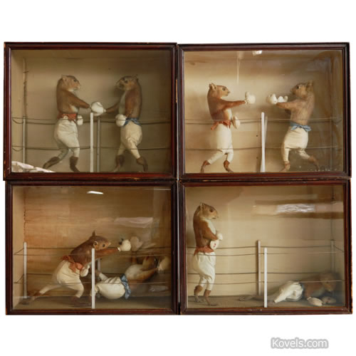 Stuffed Squirrels Fight for High Prices