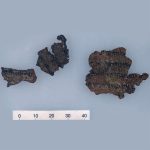 Dead Sea Scroll Fragments in D.C. Museum Are Fakes