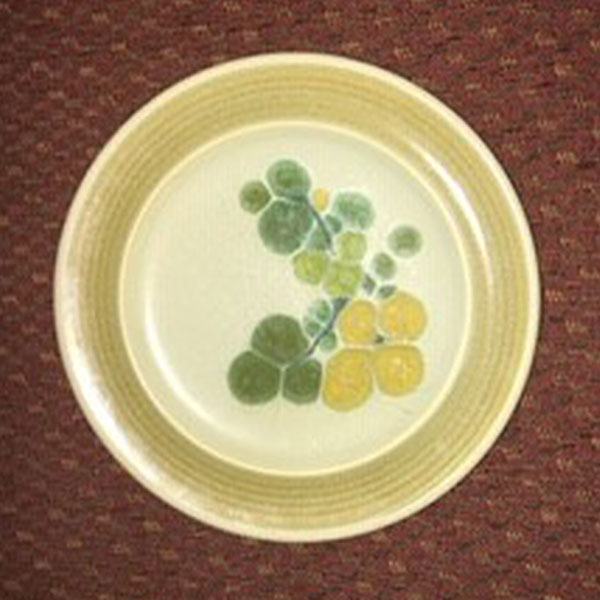 2 Franciscan Pottery Pebble Beach green yellow flowers salad plates 8.5 inches 