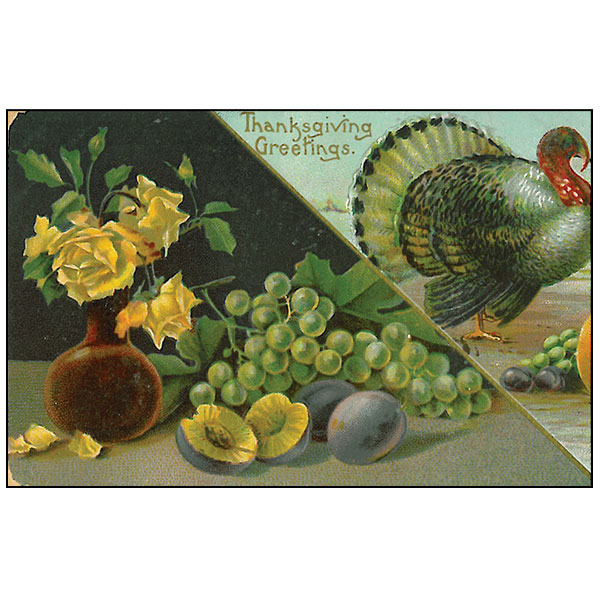 thanksgiving greetings vintage postcard