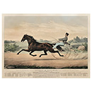 a man riding a horse drawn carriage