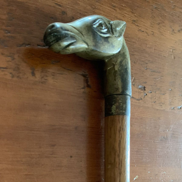 animal head cane